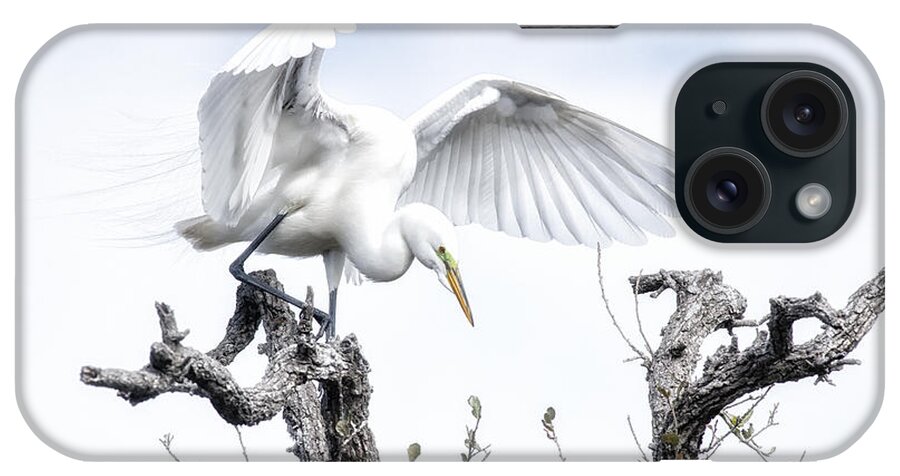 Crystal Yingling iPhone Case featuring the photograph Pre-flight by Ghostwinds Photography