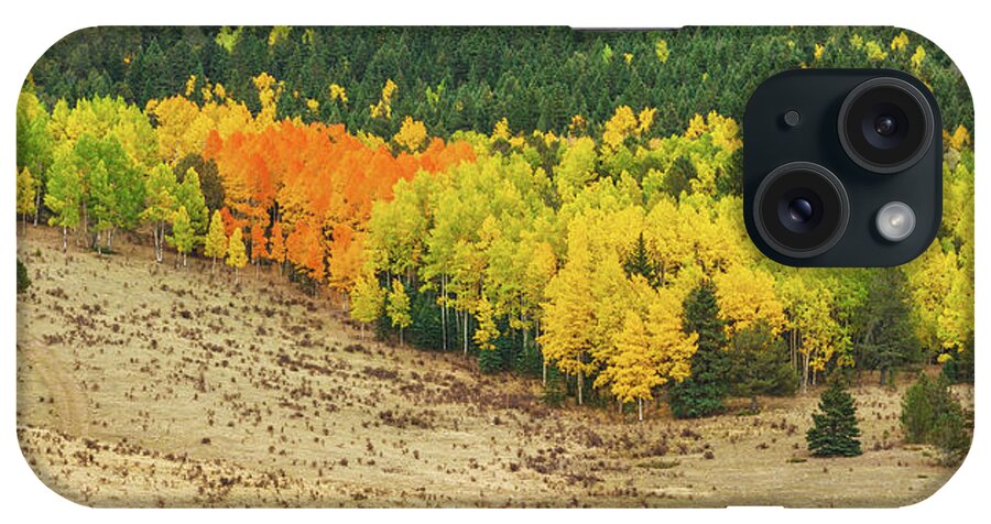 Fall Colors iPhone Case featuring the photograph Preserving Our Natural Heritage, The Fulcrum Of Our Community by Bijan Pirnia