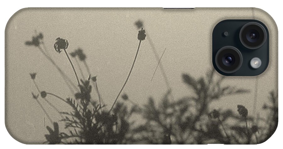 Daisy Bush iPhone Case featuring the photograph Pressed Daisy Bush Yellow by Stan Magnan