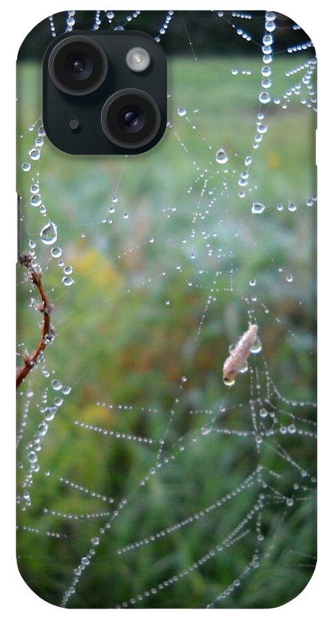 Dew iPhone Case featuring the photograph Pretty Dew Drops on a Spider Web by Kent Lorentzen
