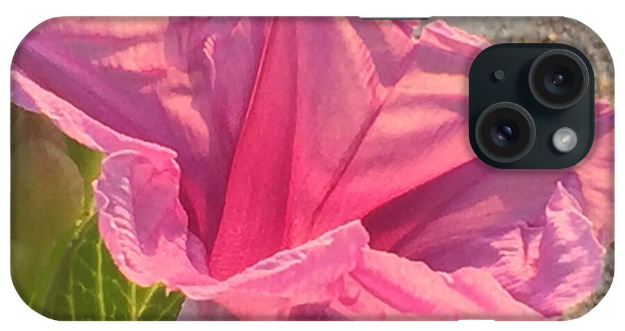 Railroad Vine iPhone Case featuring the photograph Pretty in Pink by LeeAnn Kendall