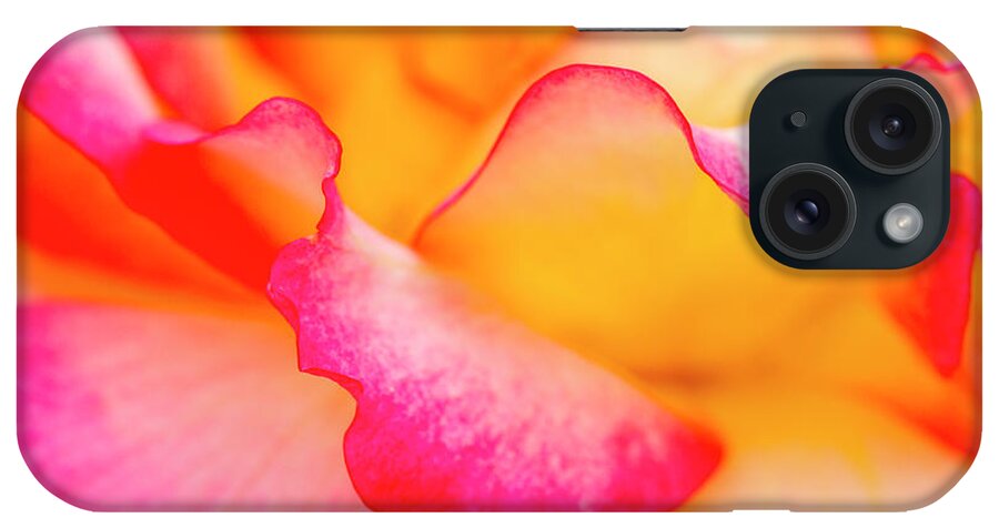 Valentine iPhone Case featuring the photograph Pretty Petal Curves by Teri Virbickis