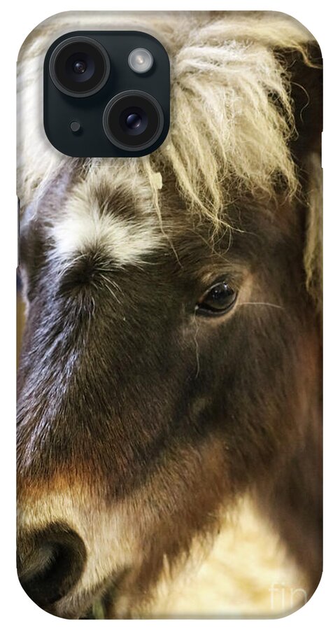 Pony iPhone Case featuring the photograph Pretty Pony by Suzanne Luft