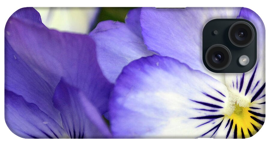 Background iPhone Case featuring the photograph Pretty Violas by Ann Bridges