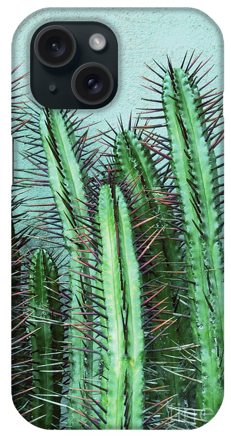 Prick iPhone Case featuring the mixed media Prick Cactus by Emanuela Carratoni