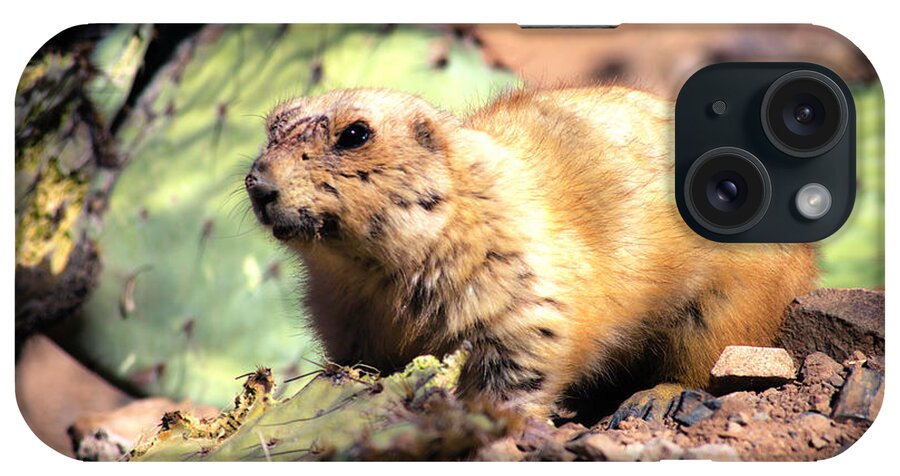 Prairie Dog iPhone Case featuring the photograph Prickly Lunch by Mike Stephens
