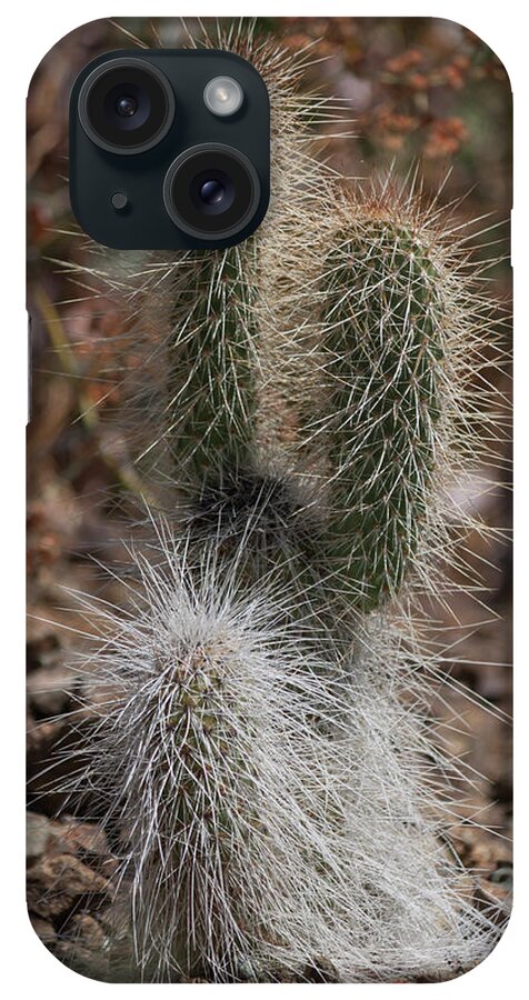 Photograph iPhone Case featuring the photograph Prickly by Suzanne Gaff