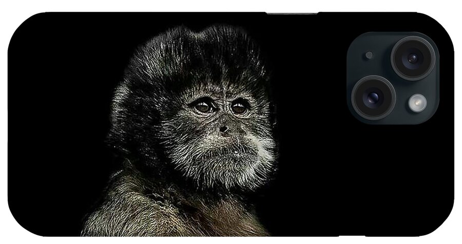 Capuchin iPhone Case featuring the photograph Pride by Paul Neville