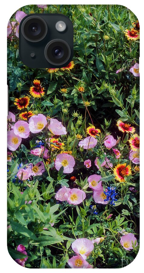 Lady Bird Johnson Wildflower Center iPhone Case featuring the photograph Primrose and Indian Blanket by Bob Phillips
