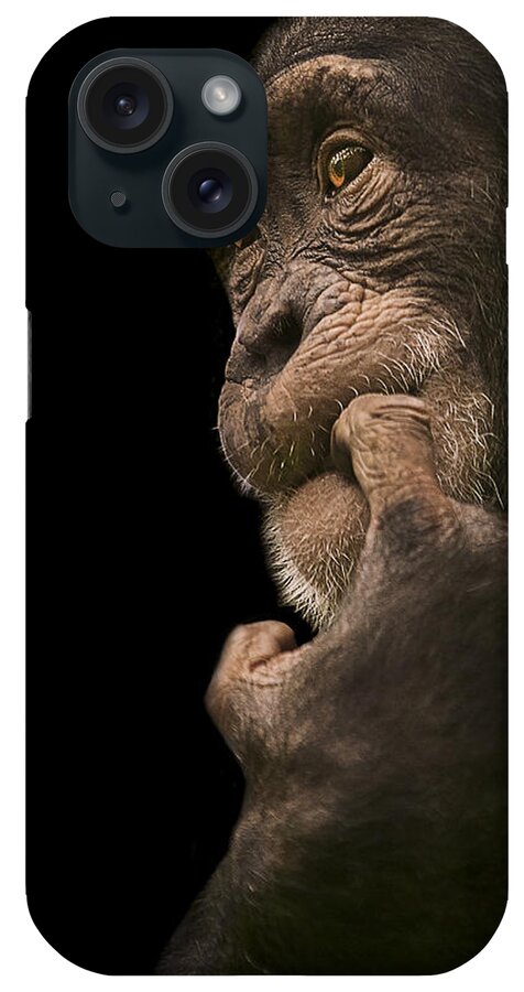 Chimpanzee iPhone Case featuring the photograph Promiscuous Girl by Paul Neville