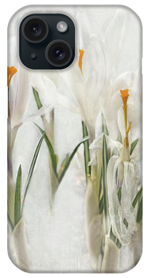 Crocus iPhone Case featuring the photograph Promise of Spring Crocus by Barbara McMahon