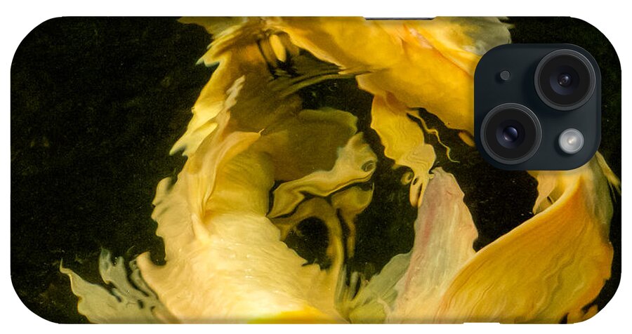 Botanical Gardens iPhone Case featuring the photograph Prosperity Together by Marilyn Cornwell