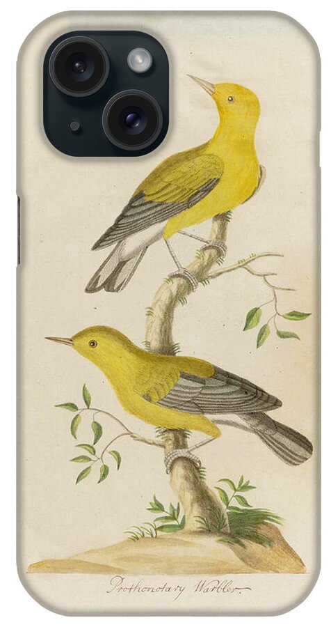 John Abbot iPhone Case featuring the drawing Prothonotary Warbler by John Abbot