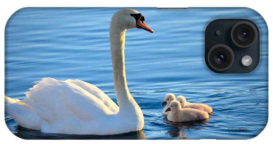 Mute Swan iPhone Case featuring the photograph Proud Mother by Deb Halloran