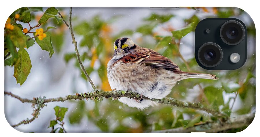Pudgy White Throated Sparrow iPhone Case featuring the photograph Pudgy White Throated Sparrow by Karen Jorstad