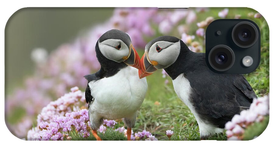 Puffin iPhone Case featuring the photograph Puffin Love by Pete Walkden