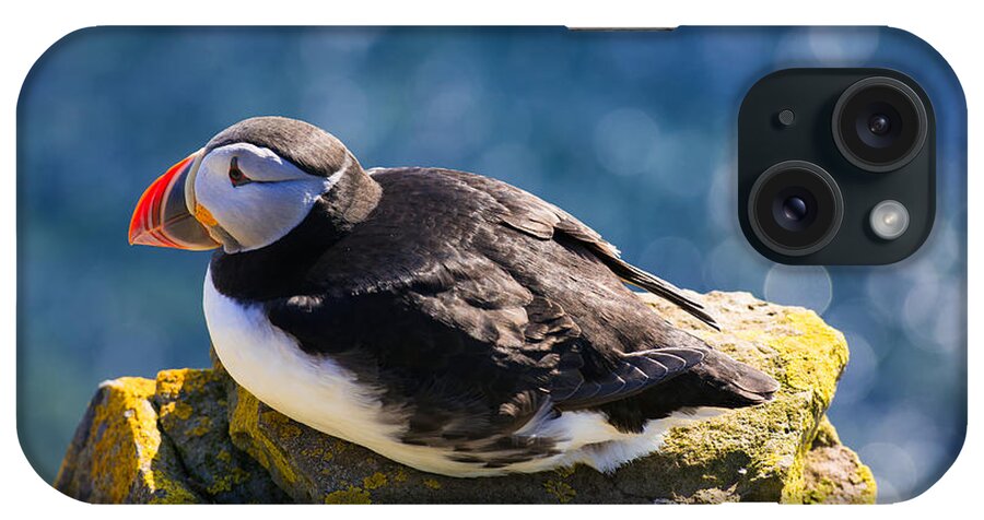 Puffin iPhone Case featuring the photograph Puffin by Matthias Hauser