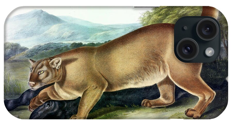 The Cougar iPhone Case featuring the painting Puma by John James Audubon