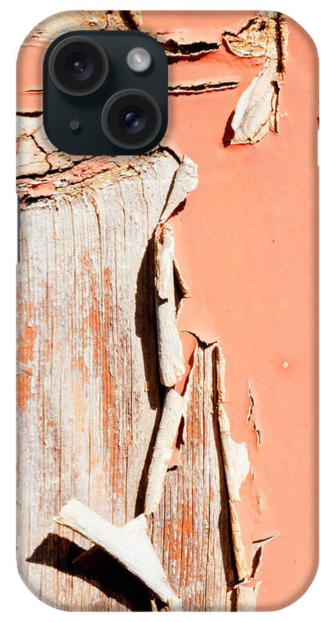 Peeling Paint iPhone Case featuring the photograph Pumkinpeel by Jessica Levant