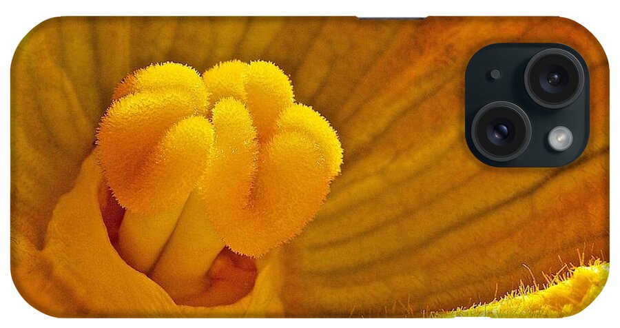 Flower iPhone Case featuring the photograph Pumpkin Blossom by Linda Bianic