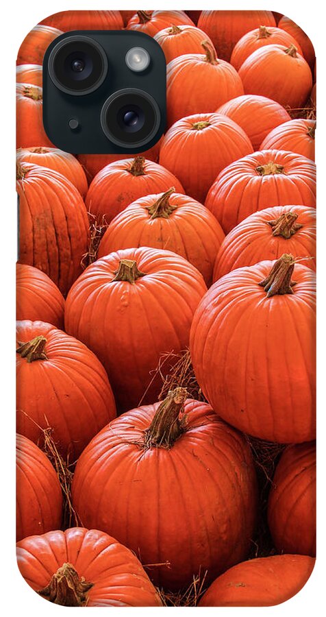 Autumn iPhone Case featuring the photograph Pumpkin Patch by Robert Wilder Jr