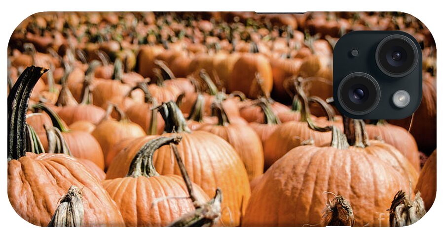 Holiday iPhone Case featuring the photograph Pumpkins 18 by Andrea Anderegg