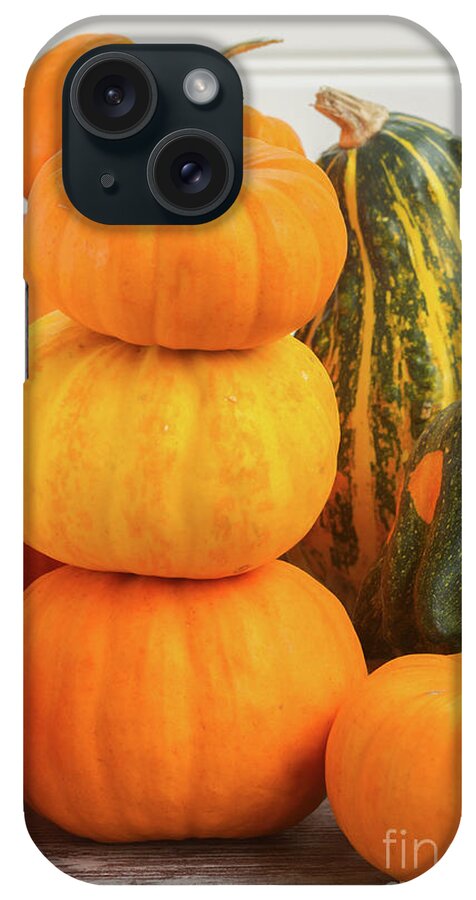 Pumpkin iPhone Case featuring the photograph Pumpkins on Table by Anastasy Yarmolovich