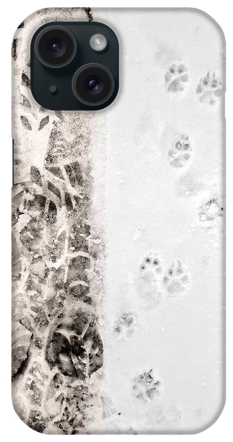 Winter iPhone Case featuring the photograph Puppy Prints in the Snow by Lynn Hansen