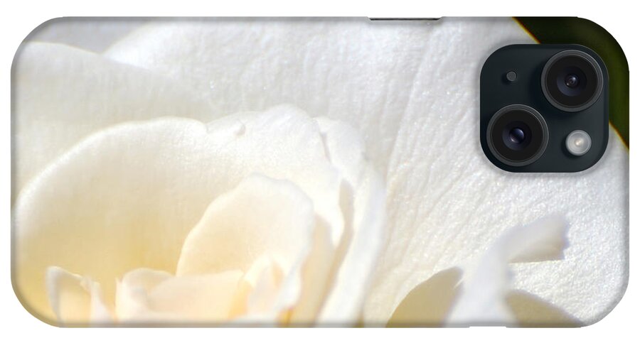 Flower iPhone Case featuring the photograph Pure by Larry Keahey