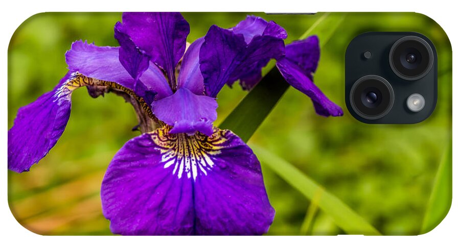 Purple iPhone Case featuring the photograph Purple Beauty by Ed Clark