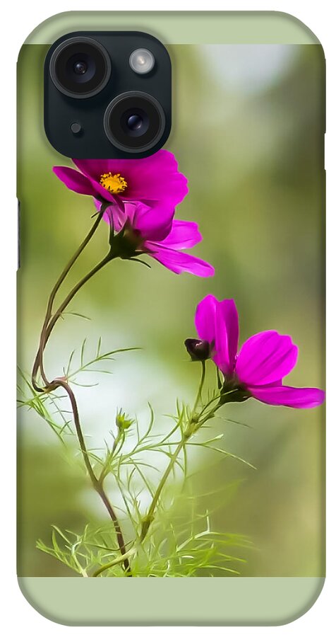 Terry D Photography iPhone Case featuring the photograph Purple Cosmos Flowers Square by Terry DeLuco