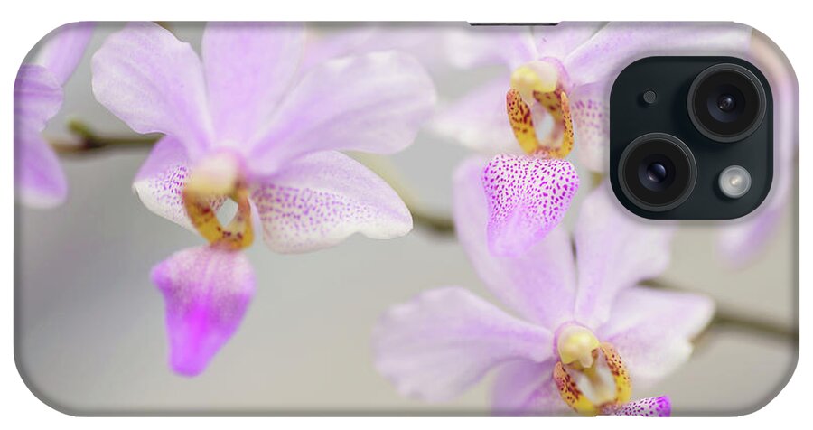 Jenny Rainbow Fine Art Photography iPhone Case featuring the photograph Purple Delight. Orchid Macro by Jenny Rainbow