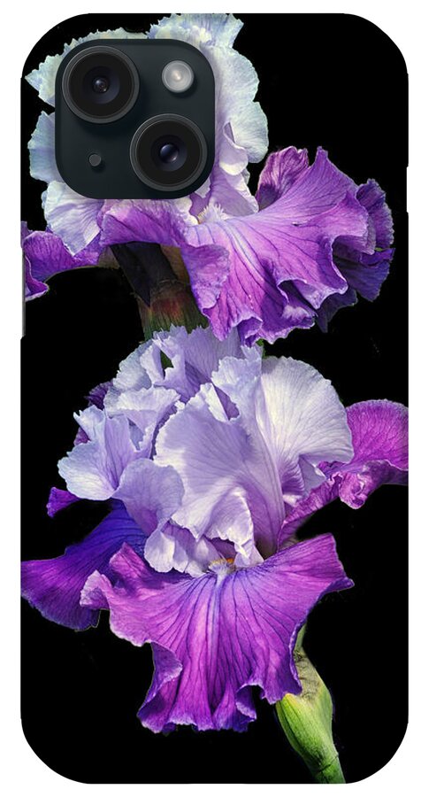 Purple Iris.iris iPhone Case featuring the photograph Purple Duet by Dave Mills