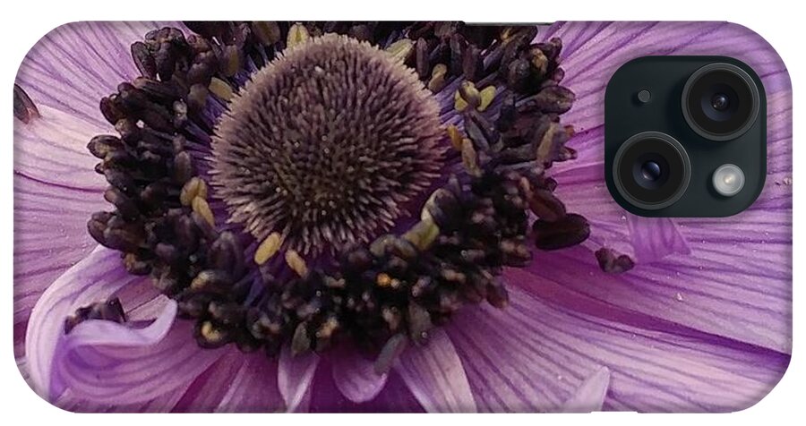 Flower iPhone Case featuring the photograph Purple Explosion by Kathy Barney