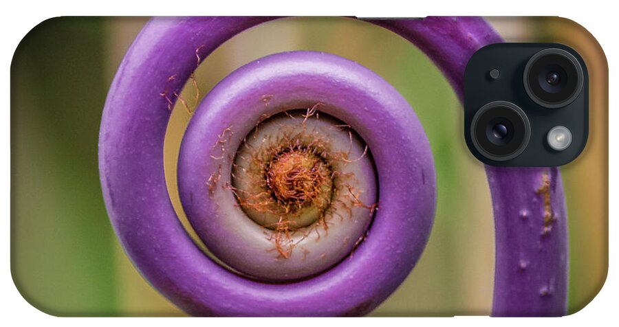  iPhone Case featuring the photograph Purple Fiddlehead with LOGO by Melissa Lipton
