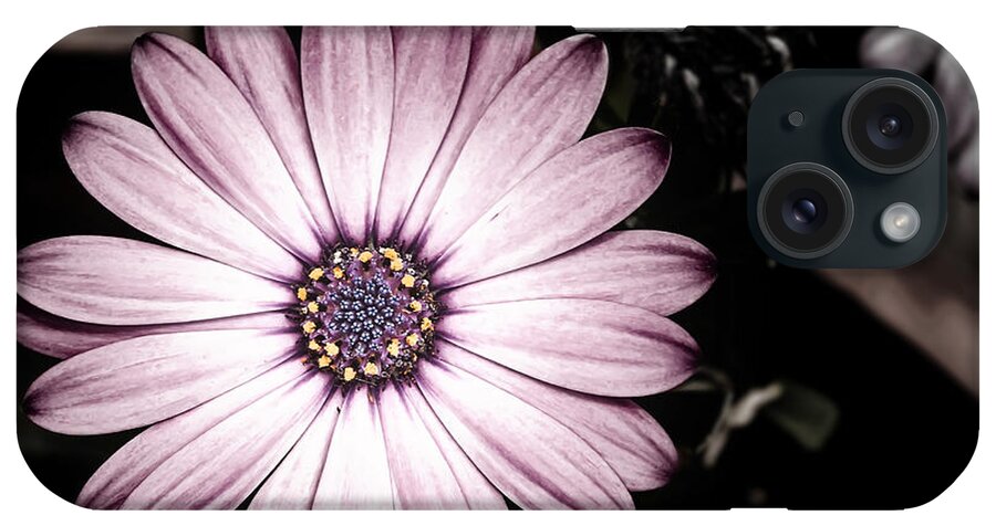 Flower iPhone Case featuring the photograph Purple Flower by Al Mueller