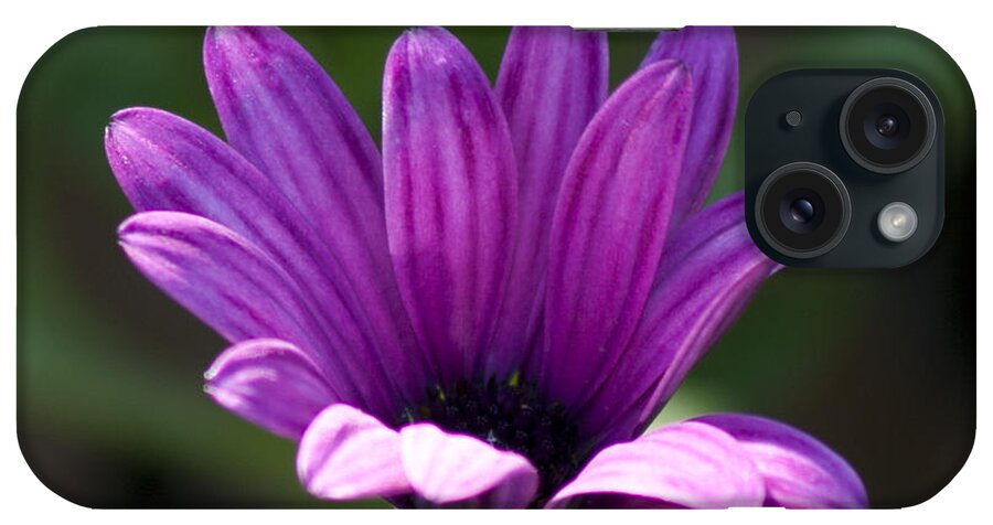 Flower iPhone Case featuring the photograph Purple flower by Martin Valeriano