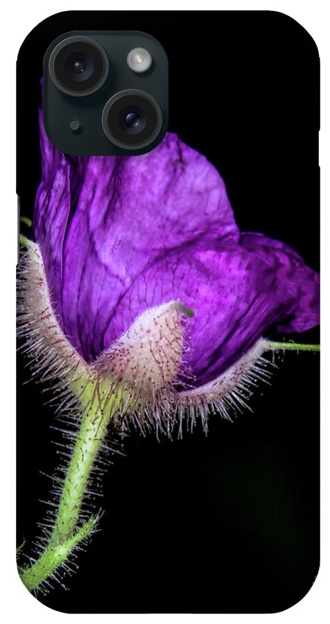 Purple Flowering Raspberry iPhone Case featuring the photograph Purple flowering Raspberry by Barbara Bowen