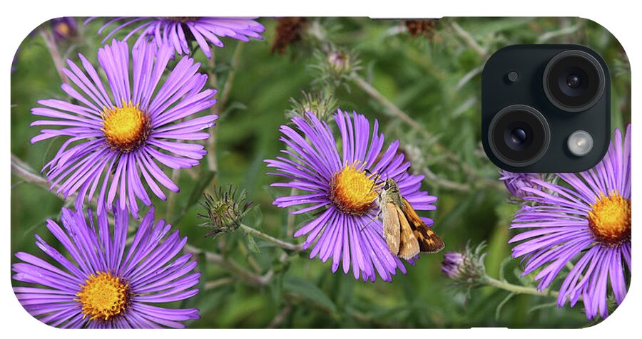 Flower iPhone Case featuring the photograph Purple Flowers with Butterfly by Ellen Tully