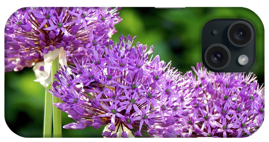 Spring iPhone Case featuring the photograph Purple Highlighted by Wild Thing