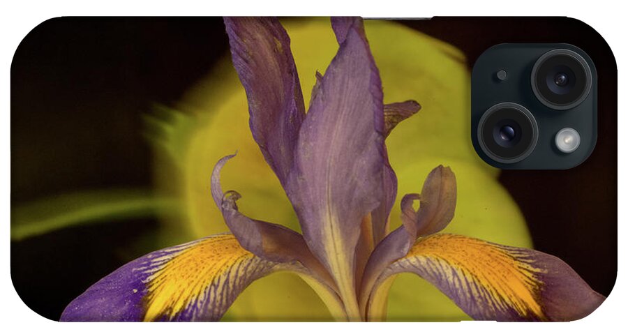Iris iPhone Case featuring the photograph Purple Iris 2 by Douglas Barnett