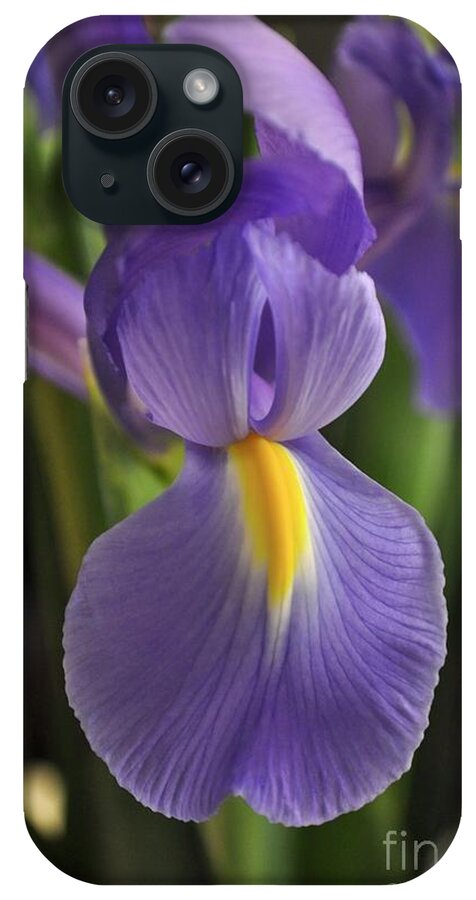 Iris iPhone Case featuring the photograph Purple Iris by Bridgette Gomes