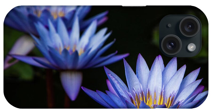 Gibbs Gardens iPhone Case featuring the photograph Purple Lilies by Doug Sturgess