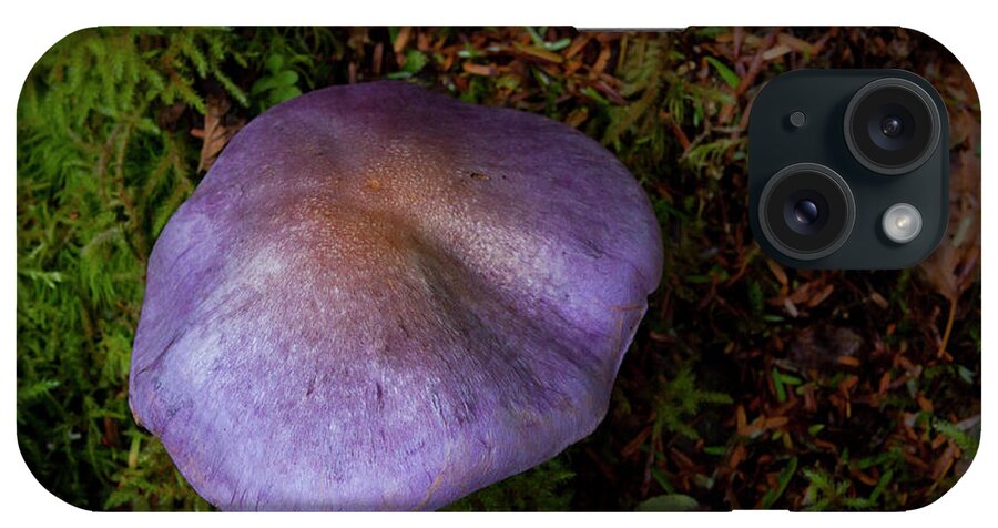 Mushroom iPhone Case featuring the photograph Purple Mushroom-Signed-#6202 by J L Woody Wooden