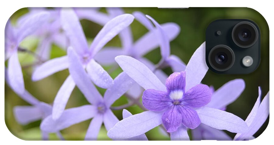 Kauai iPhone Case featuring the photograph Purple Orchids 1 by Amy Fose