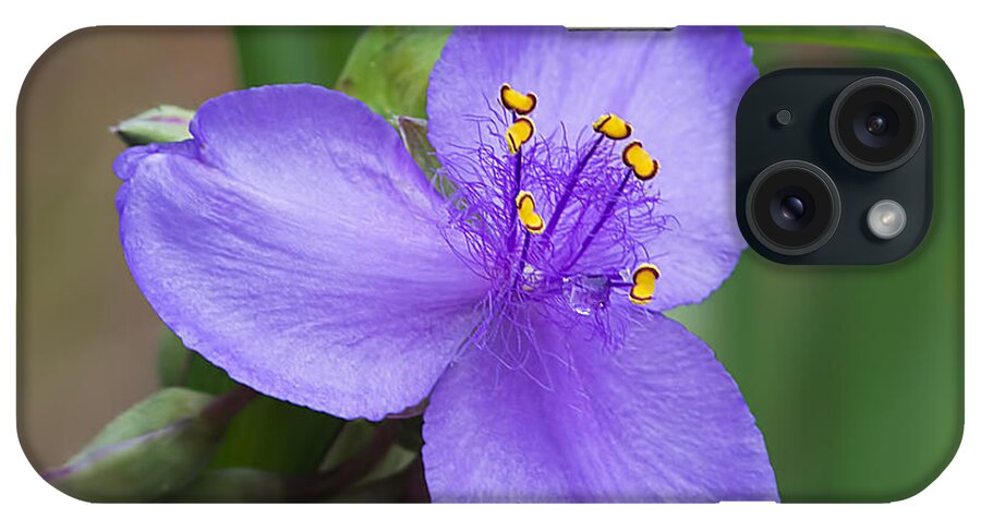 Nature iPhone Case featuring the photograph Purple Passion by Kenneth Albin