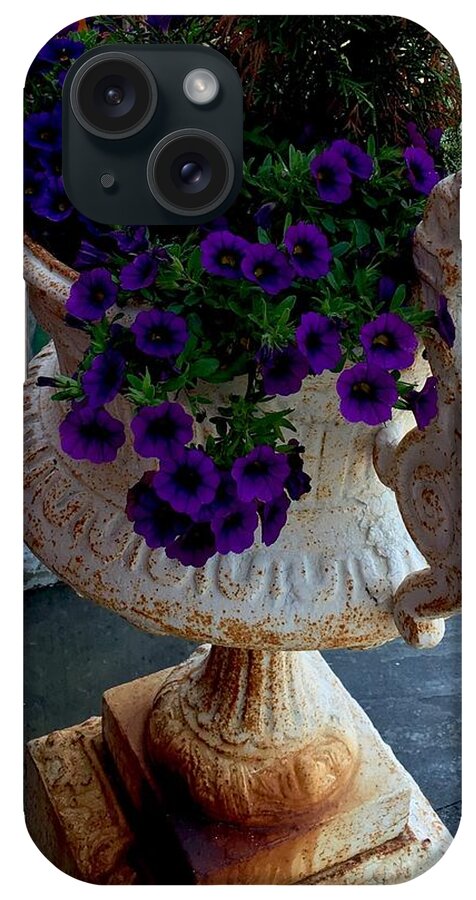 Photo Purple Flowers Canvas Prints iPhone Case featuring the photograph Purple pleasure by Dottie Visker