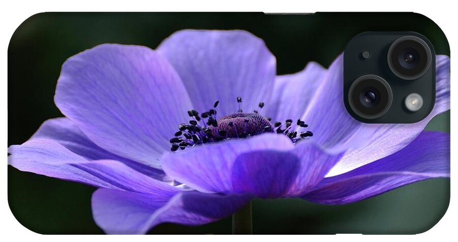 Flowers iPhone Case featuring the photograph Purple Poppy Mona Lisa by Cindy Manero