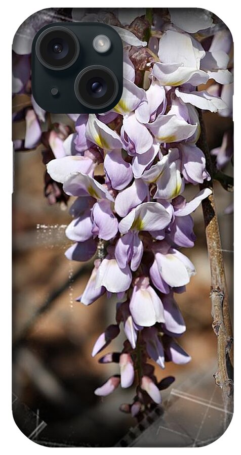 Wisteria iPhone Case featuring the photograph Purple Rain- Wisteria- Fine Art by KayeCee Spain