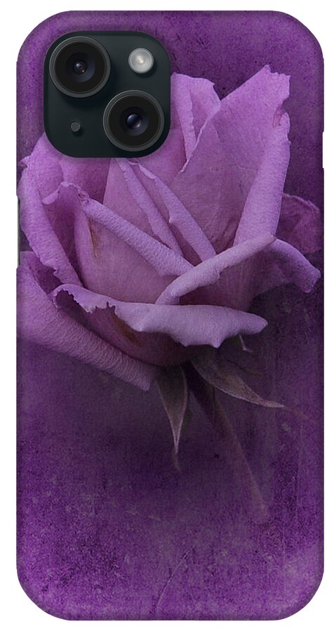 Purple Rose iPhone Case featuring the photograph Purple Rose of November No. 2 by Richard Cummings